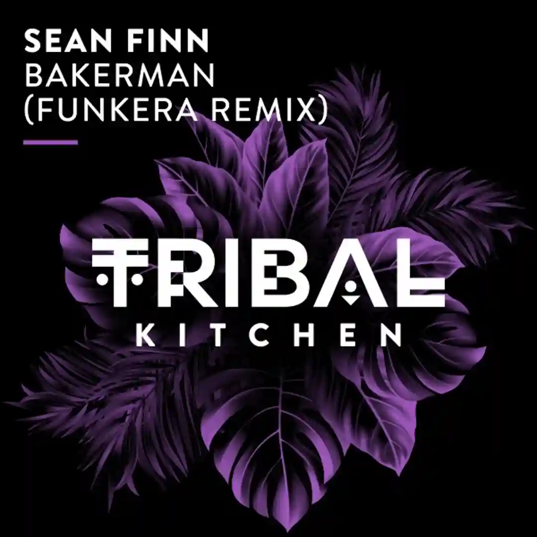 Bakerman (Funkera Extended Remix) cover