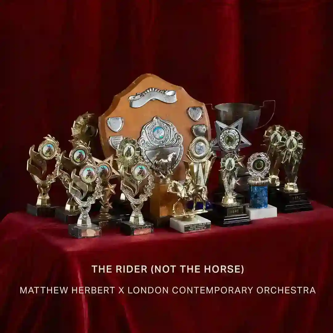 The Rider (Not The Horse) cover