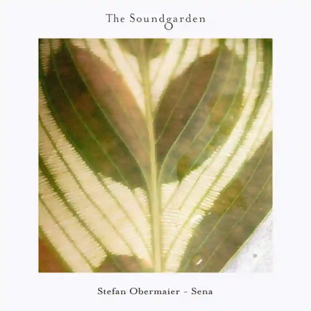 Sena (Original Mix) cover