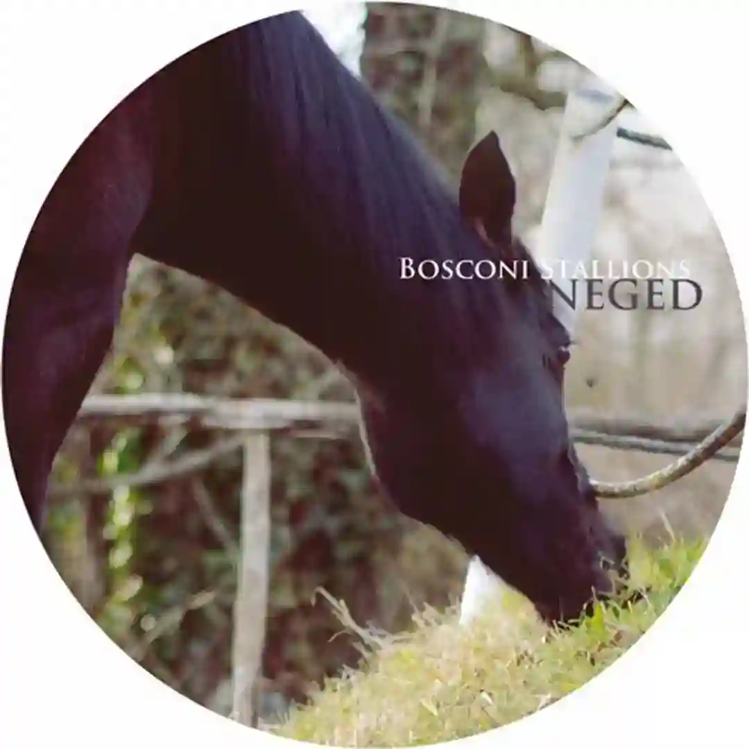 The Legend Of Neglect (Original Mix) cover