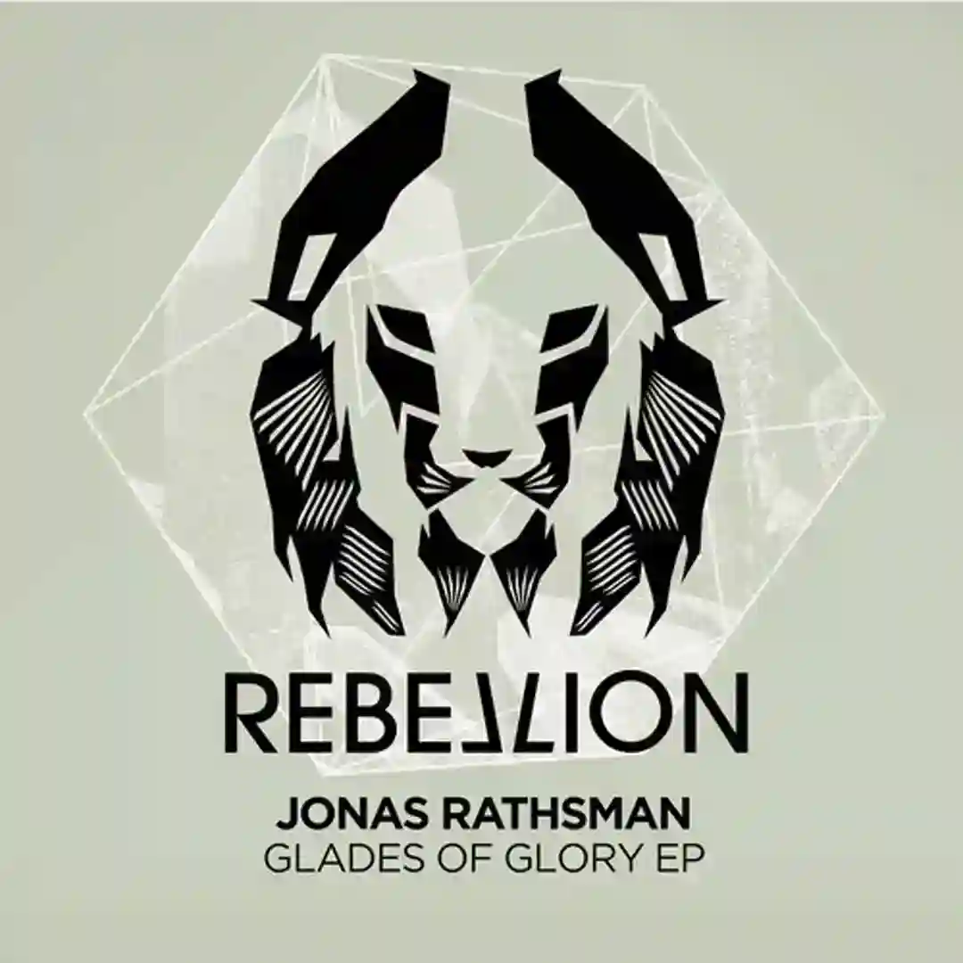 Analog Fling (Original Mix) cover