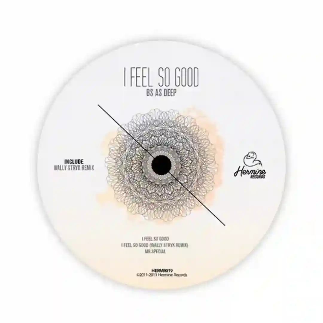 I Feel so Good cover