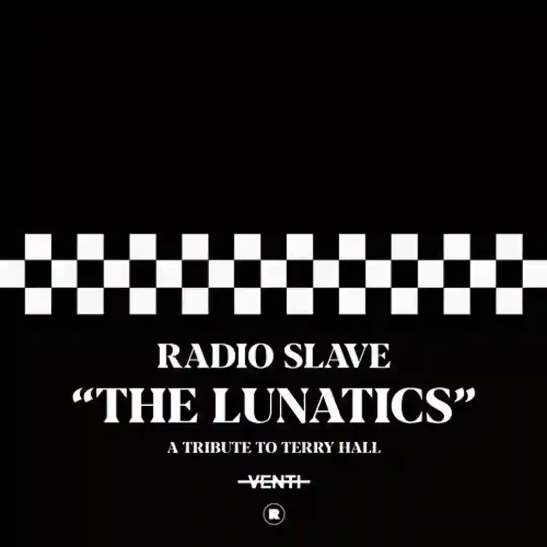 The Lunatics (A Tribute To Terry Hall) cover