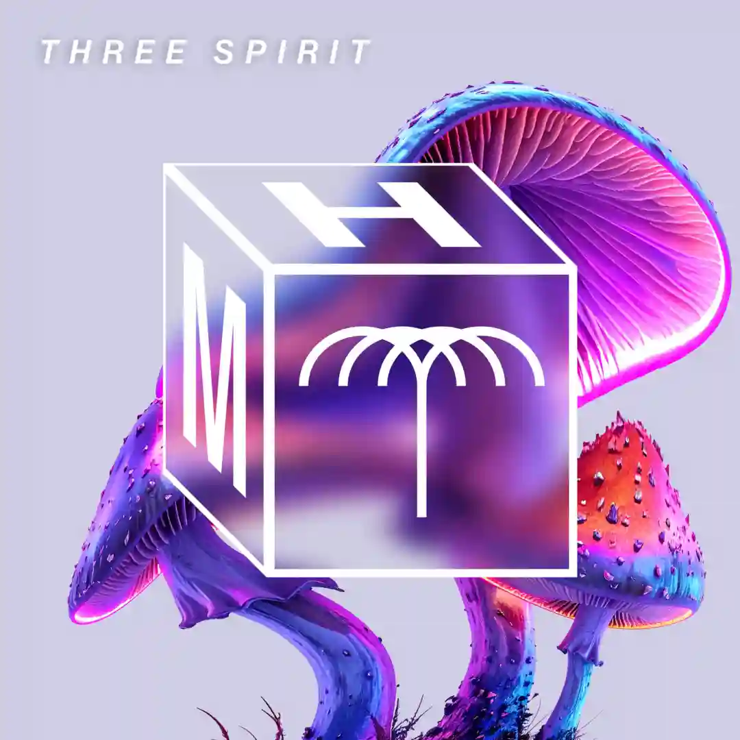 Three Spirit cover