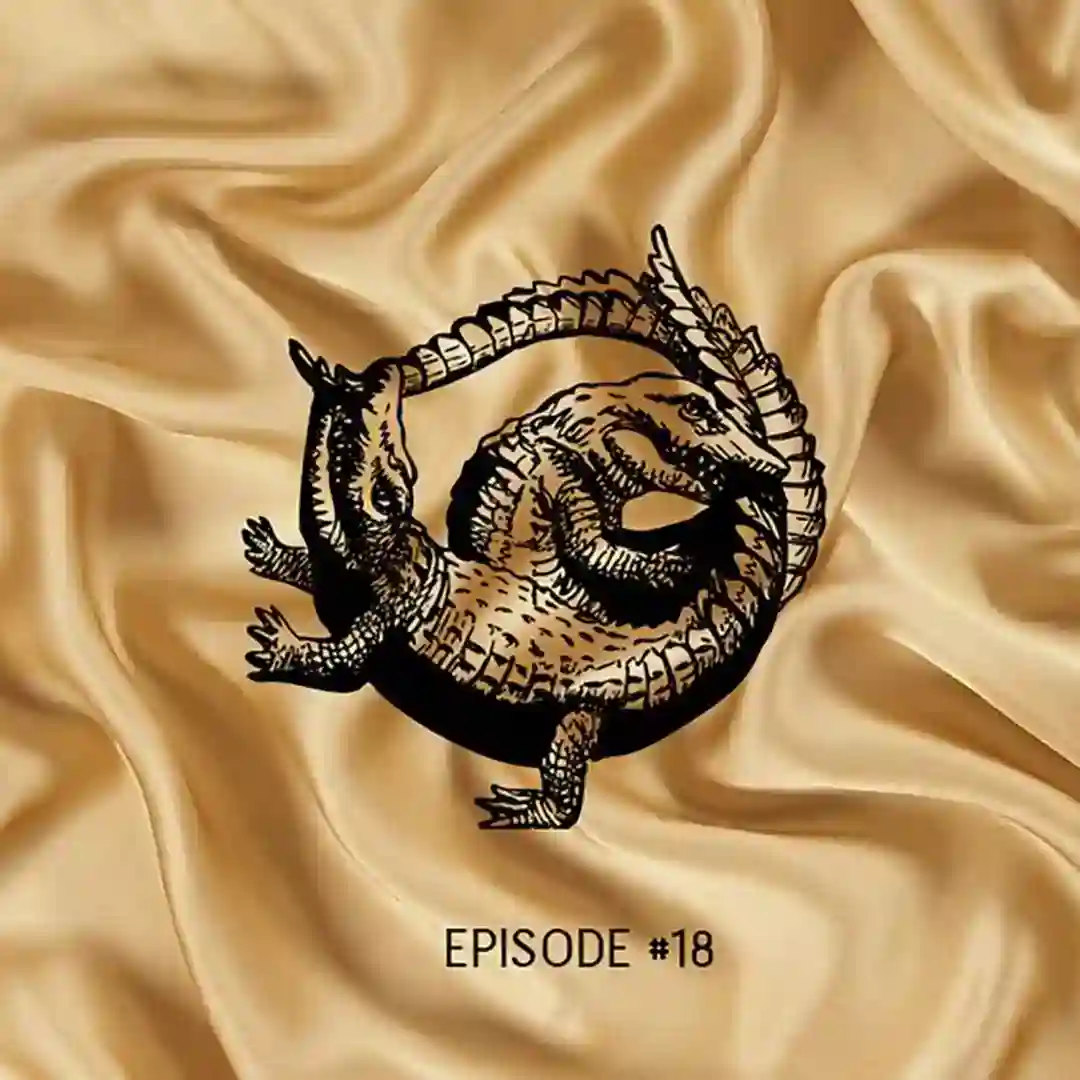 Episode #18 cover