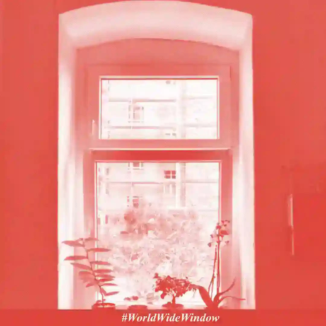 Prora cover
