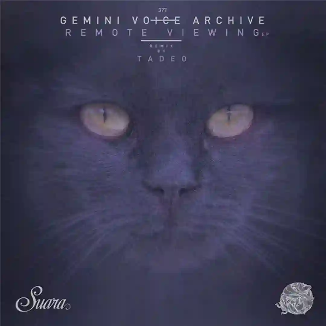 Remote Viewing (Original Mix) cover