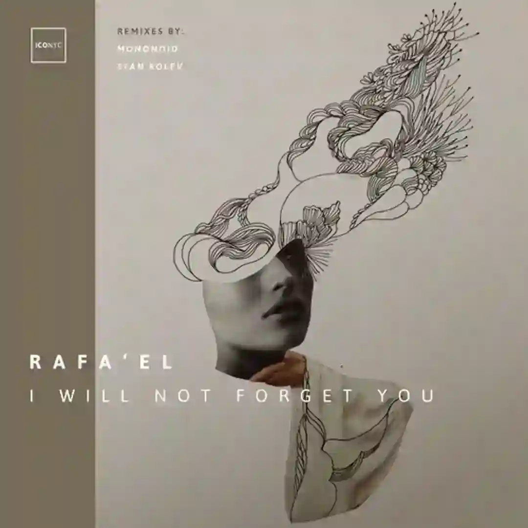 I Will Not Forget You (Stan Kolev Remix) cover
