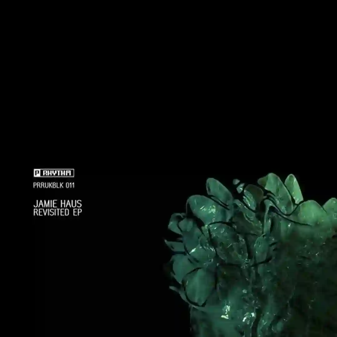 Revisited (Original Mix) cover