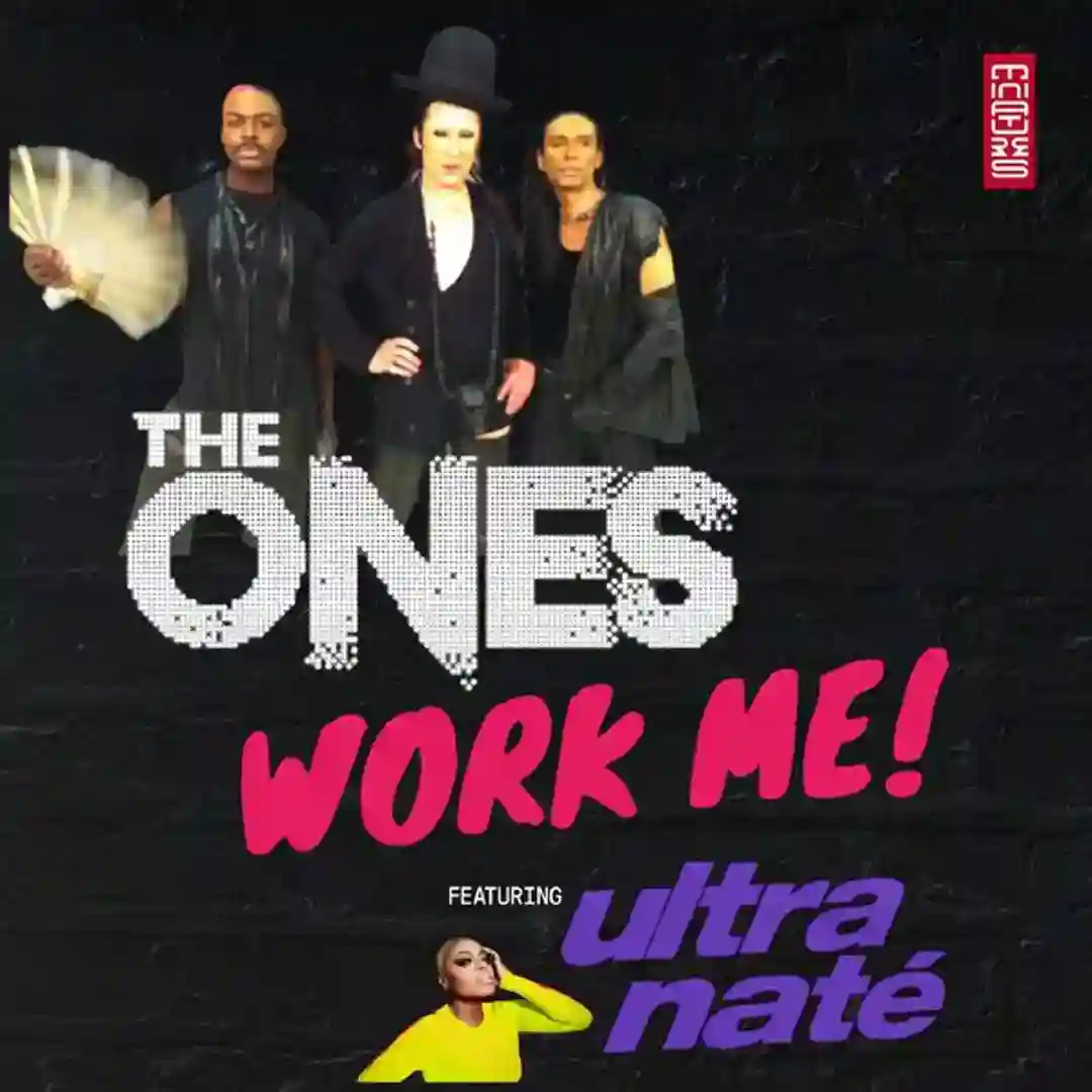 Work Me (Remixes) cover