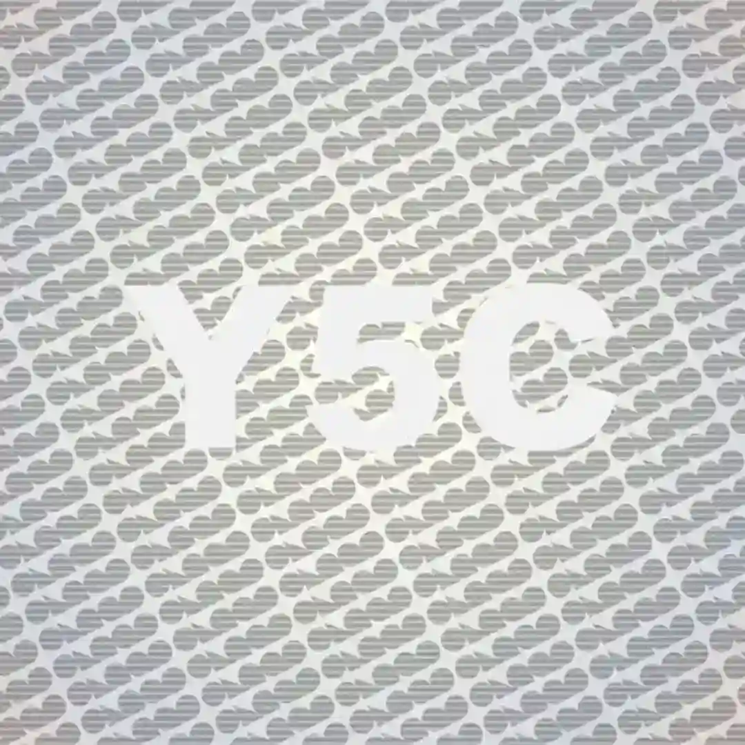 Paradise (2015 Version) cover