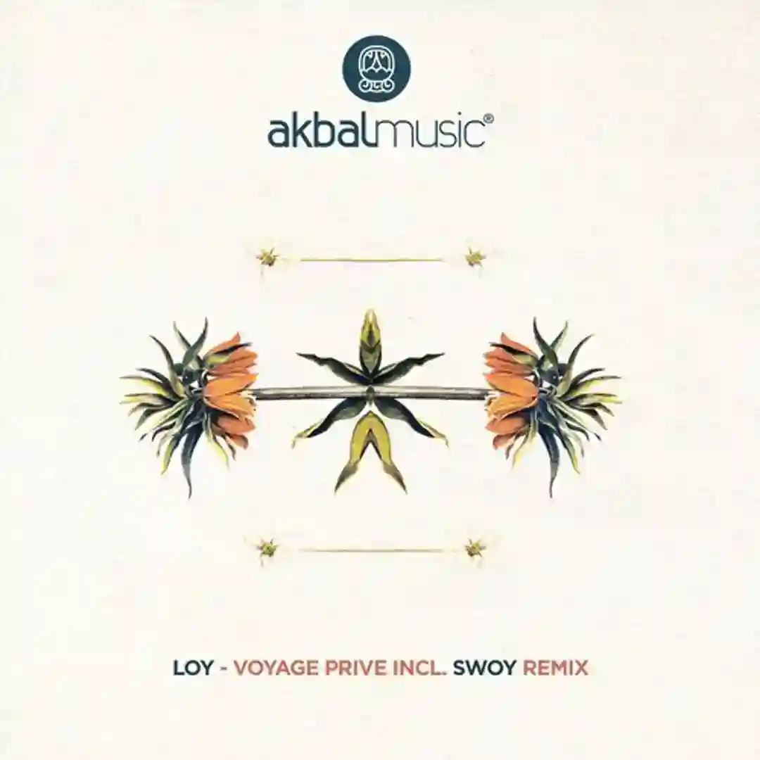 Softtube (Original Mix) cover