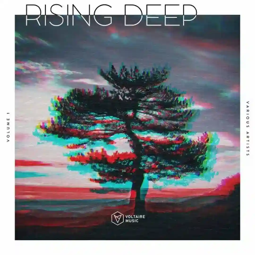 Third Room (Extended Mix) cover