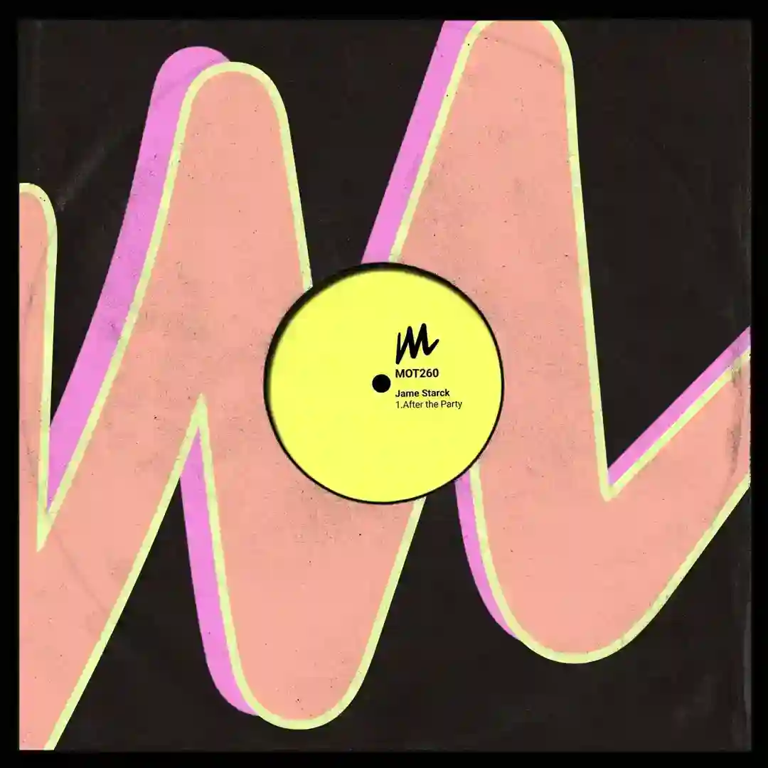 After the Party (Extended Mix) cover