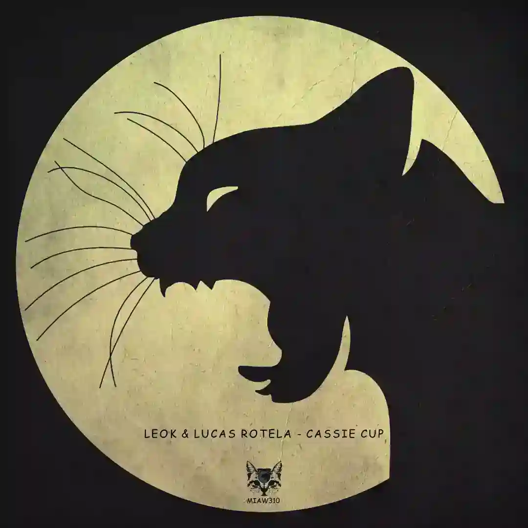 Never Refuse (Original Mix) cover