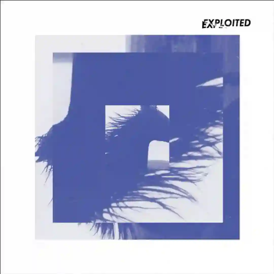 Morning Delight cover