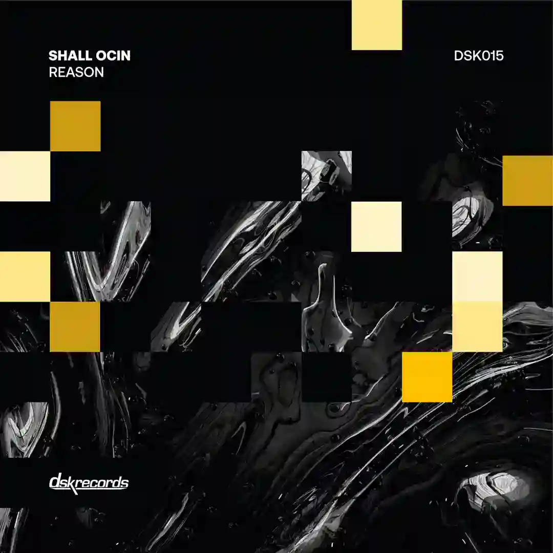Stabber (Original Mix) cover