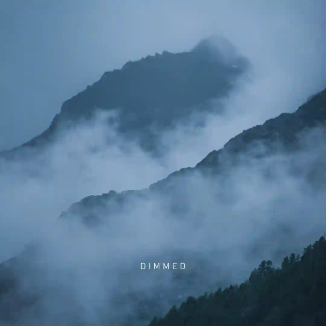 Dimmed (Original Mix) cover