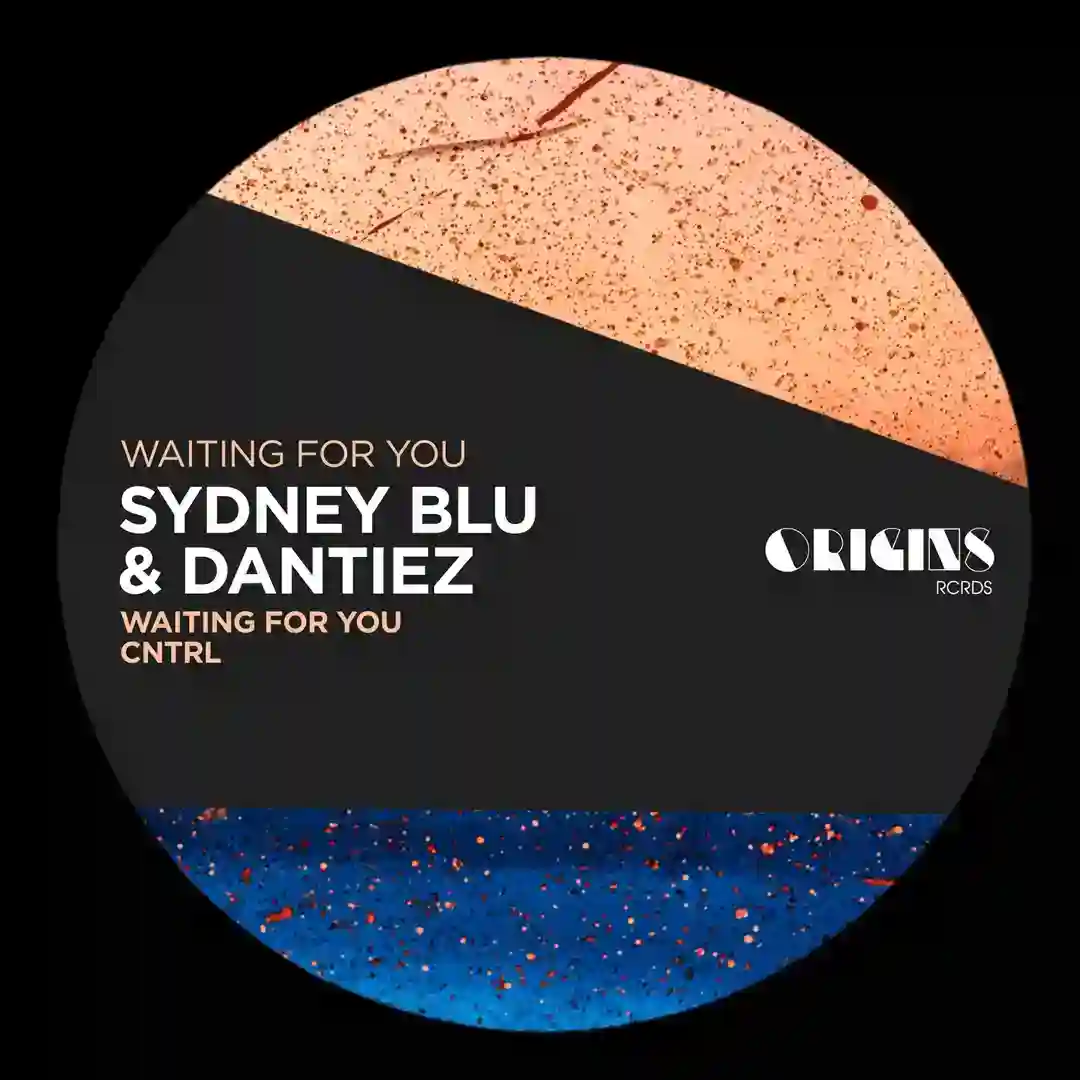 Waiting For You cover