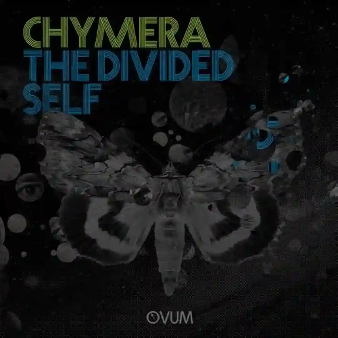The Divided Self (Original Mix) cover