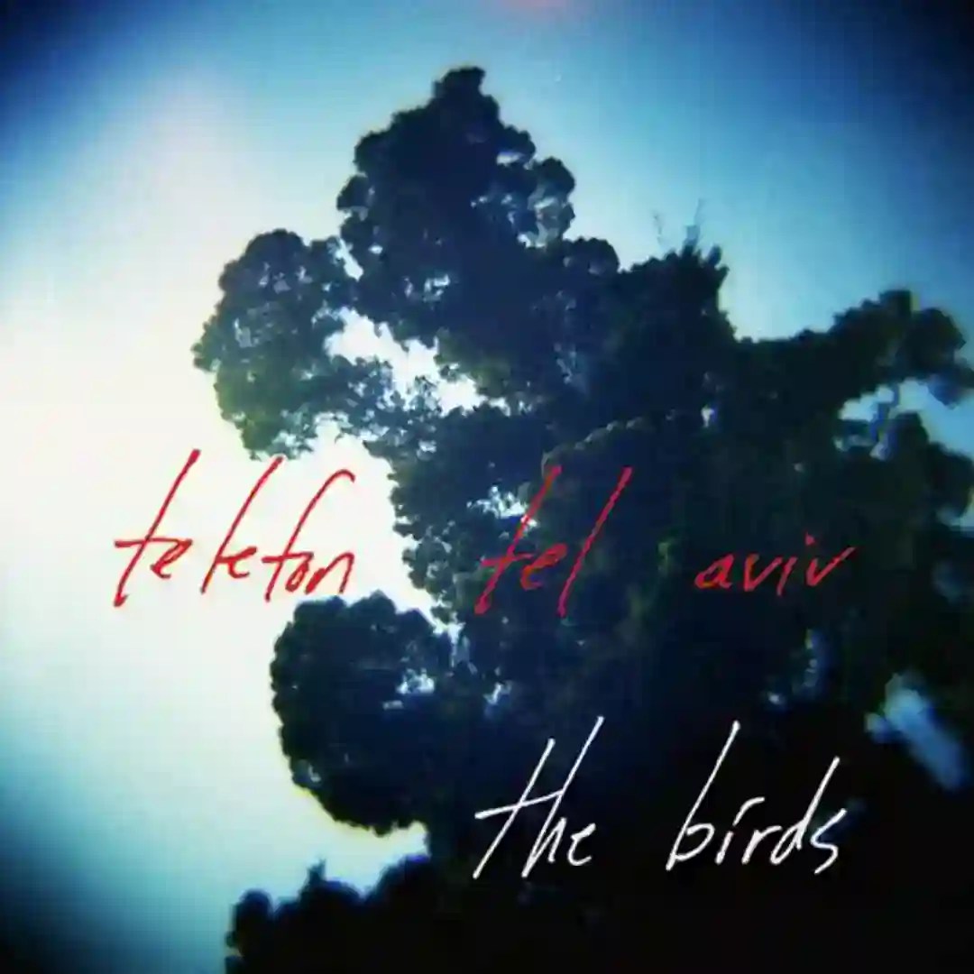 The Birds (Matthew Dear Remix) cover
