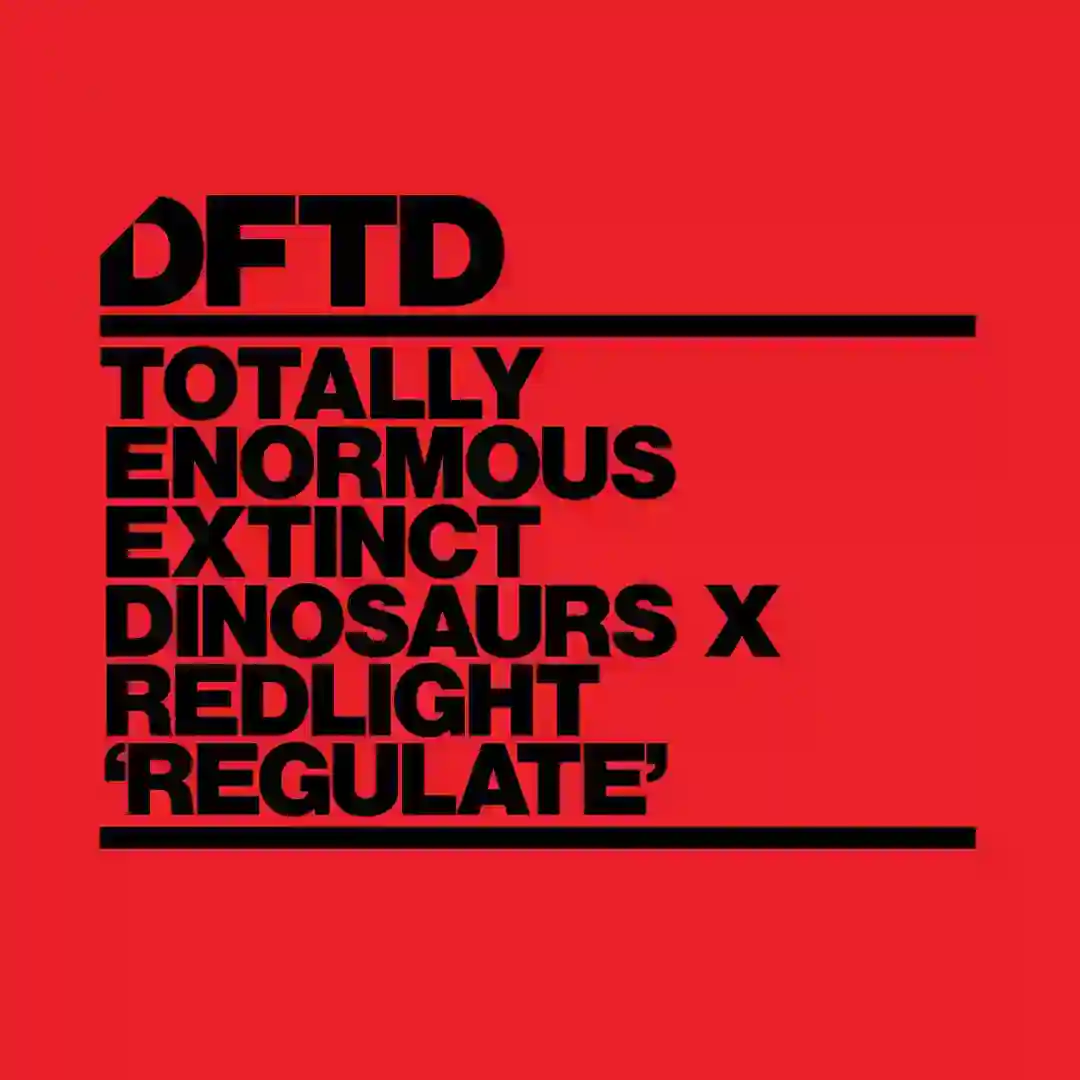 Regulate (Extended Mix) cover