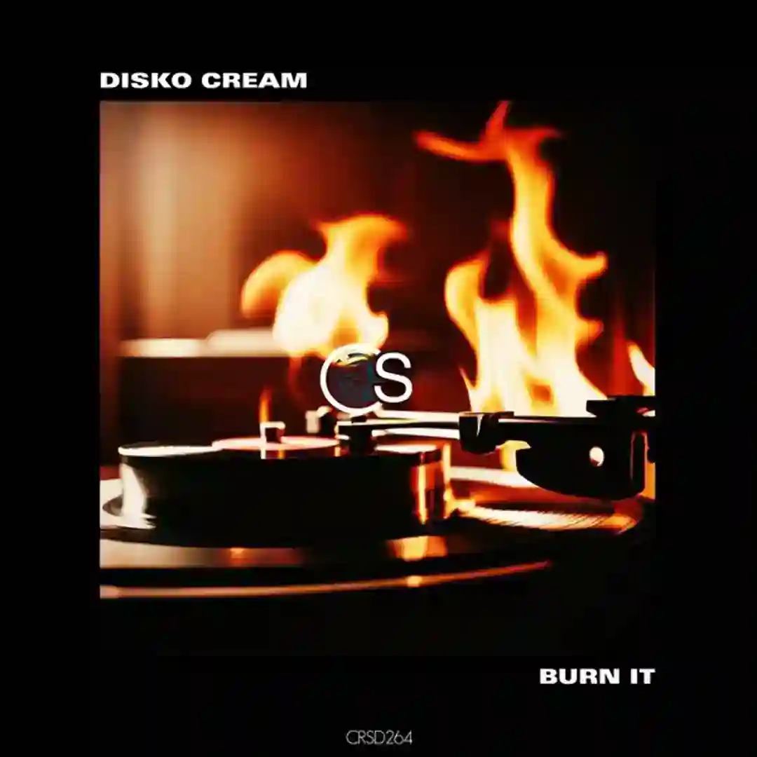 Burn It cover