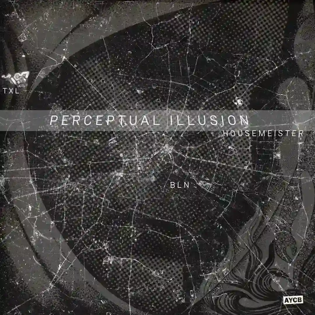 Perceptual Illusion 3 cover