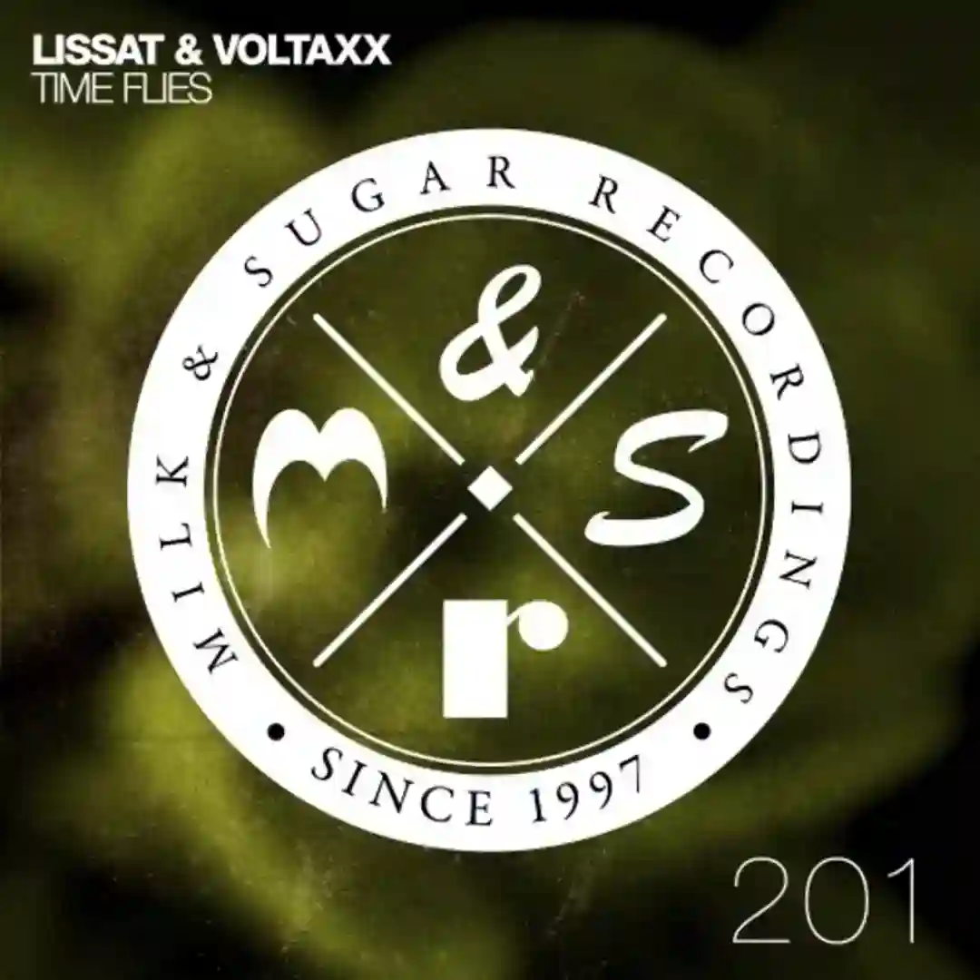 Time Flies (original mix) cover