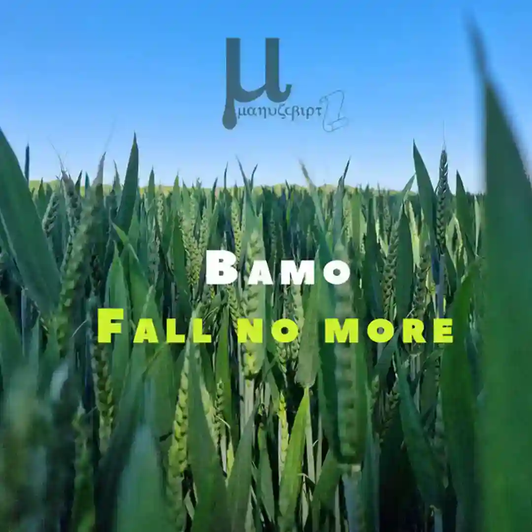 Fall no more cover
