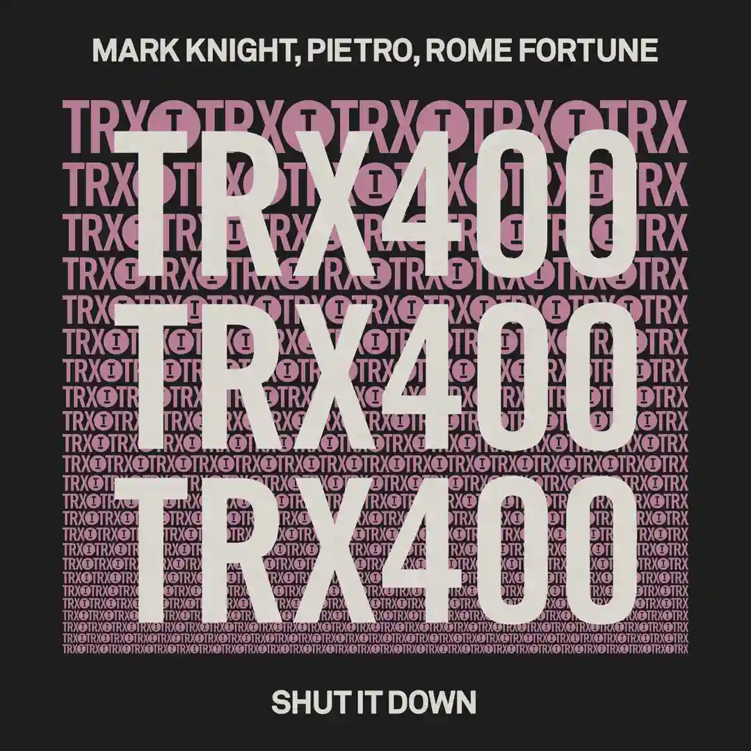 Shut It Down cover