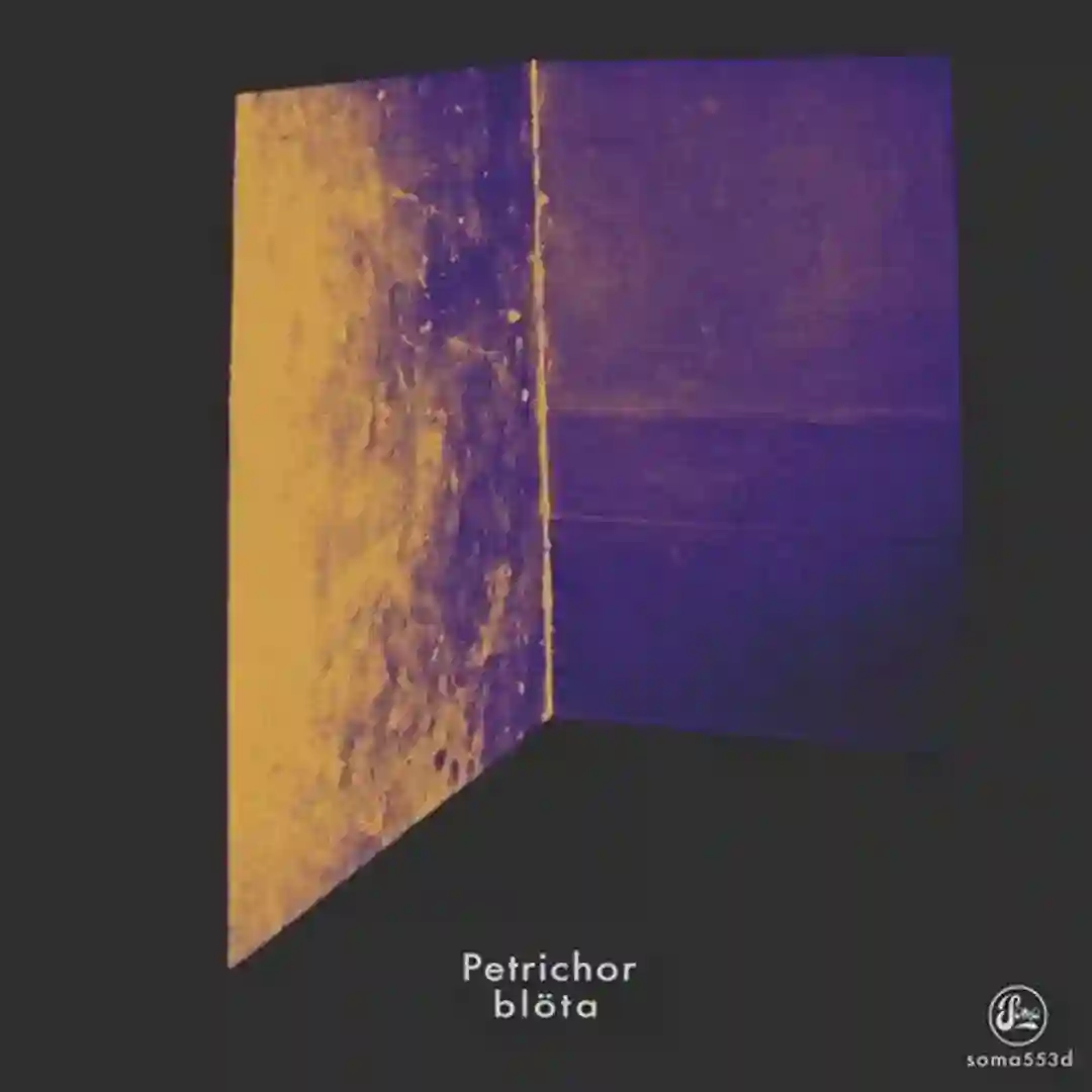 After Velvet (Sedant Remix) cover
