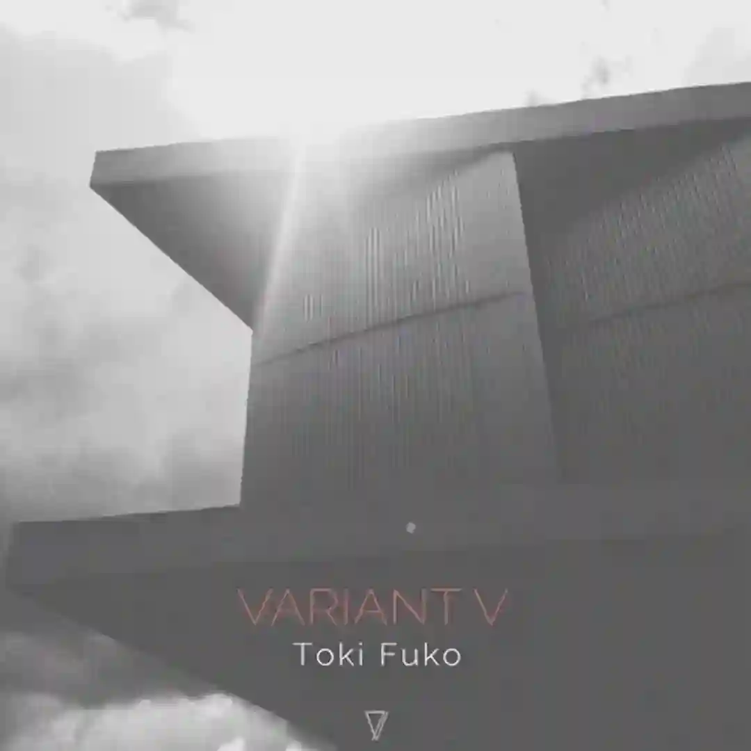 Variant V (Simak Delitvin Remix) cover