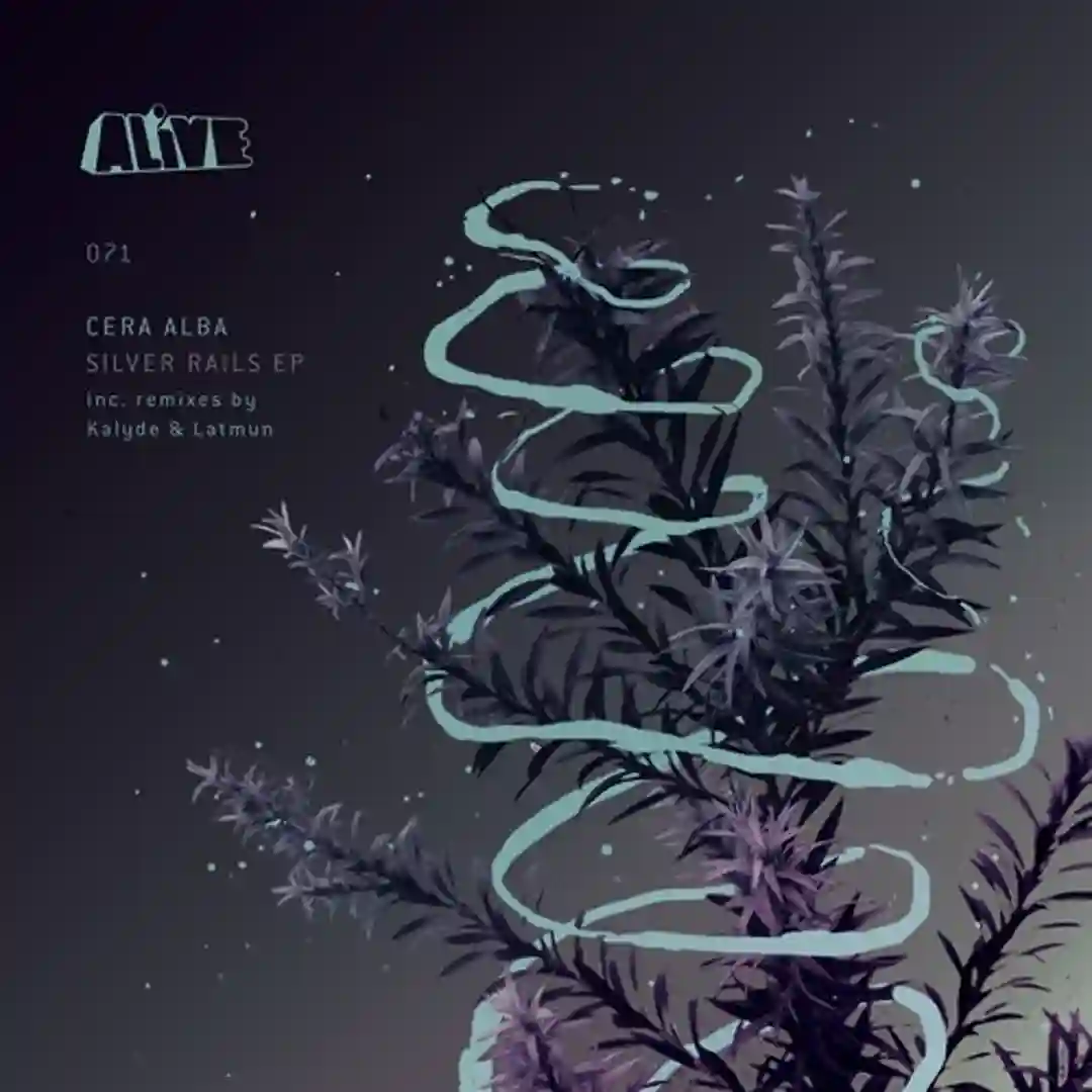 Silver Rails EP cover
