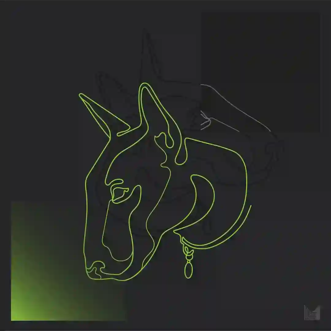 Shadows cover
