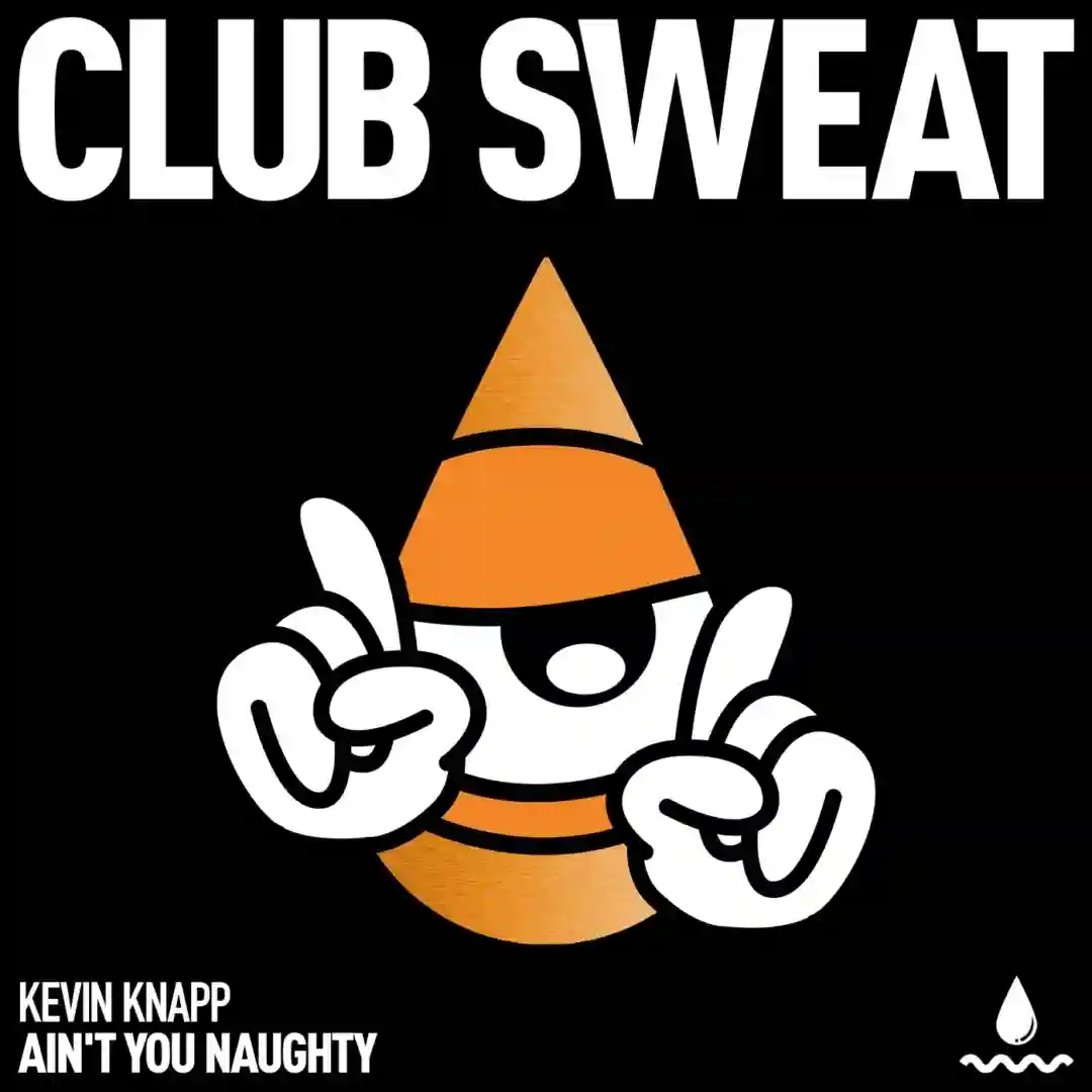Ain't You Naughty (Extended Mix) cover