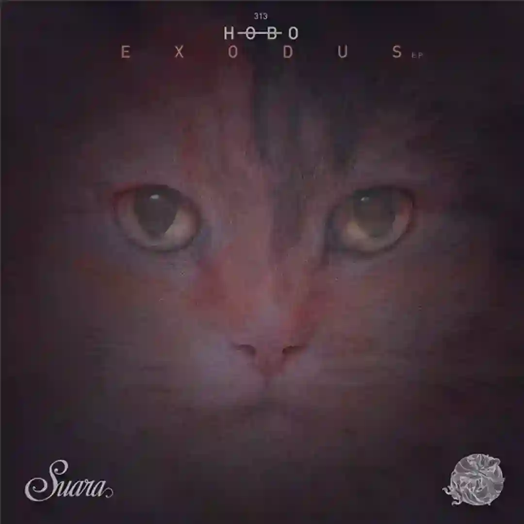 Woozy (Original Mix) cover