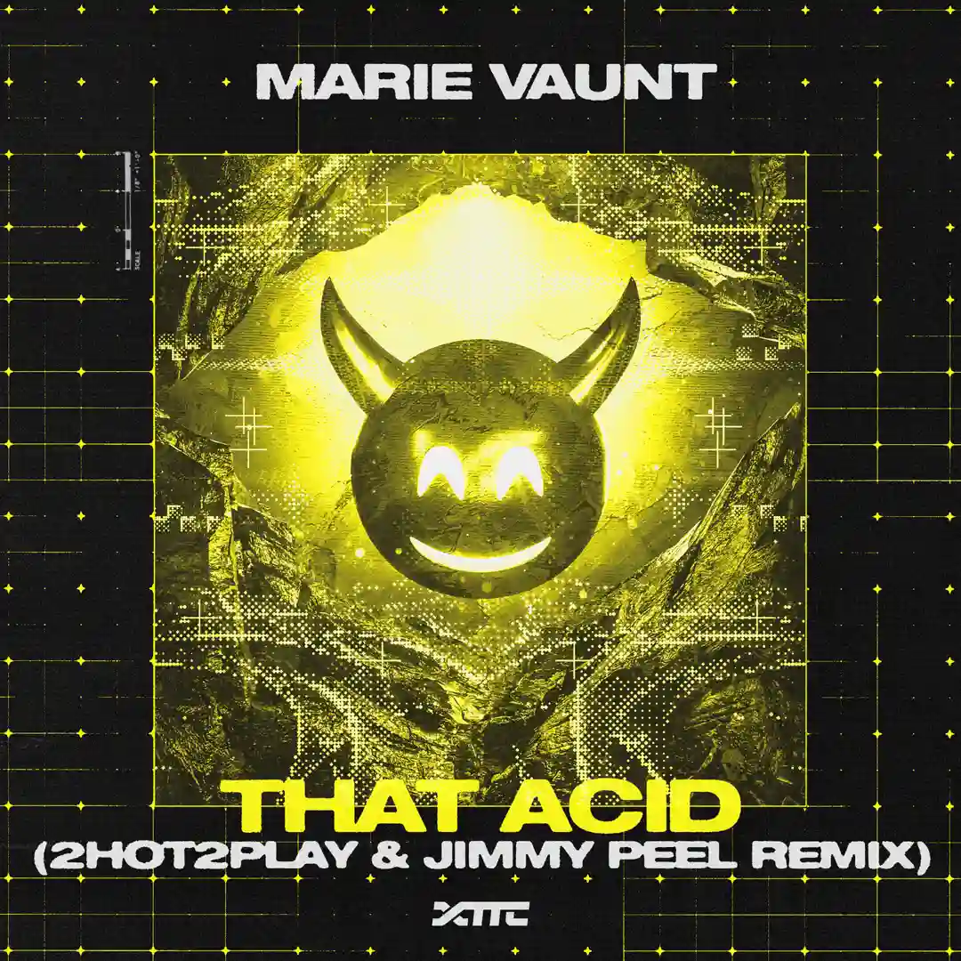 That Acid - 2HOT2PLAY & Jimmy Peel Remix cover
