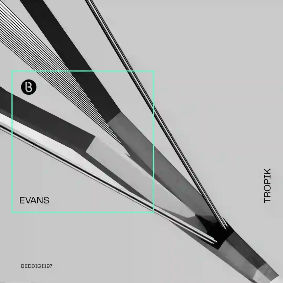 Birds of Paradise cover