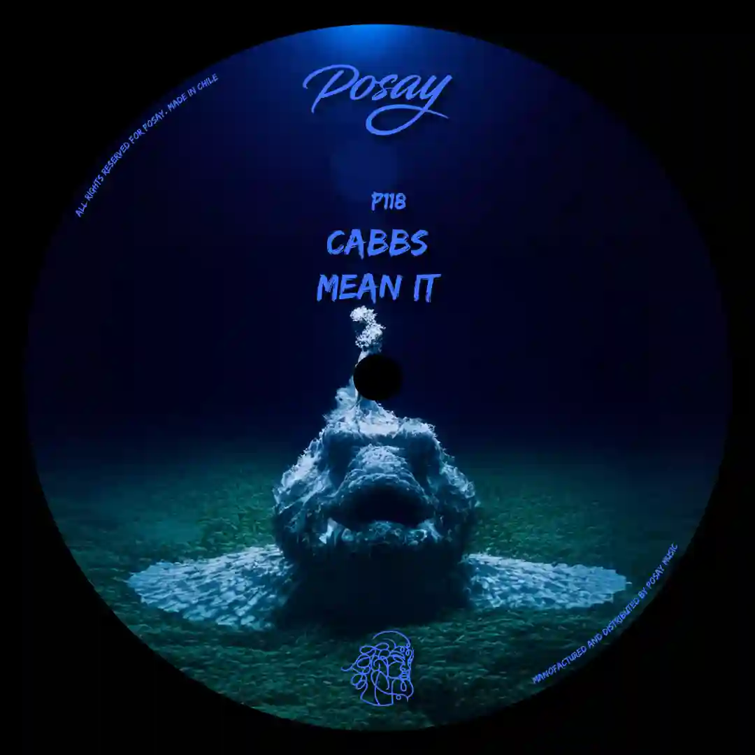 Mean It cover