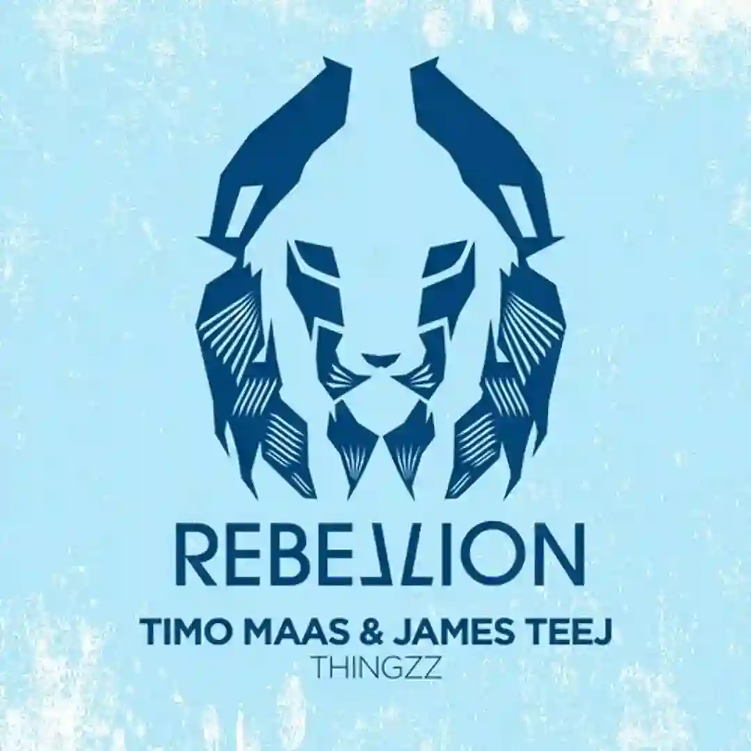 thingzz (Original Mix) cover