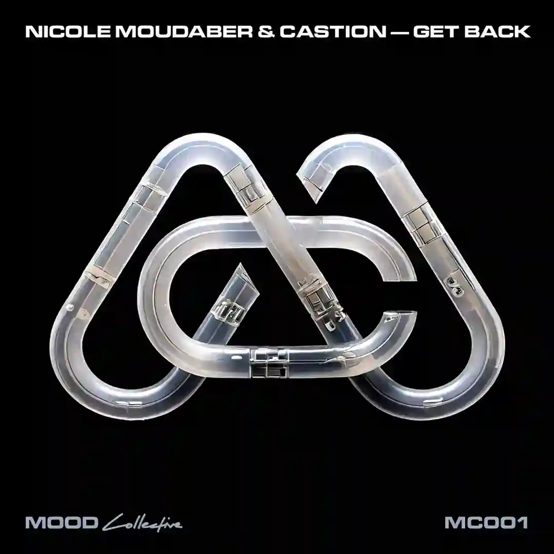 Get Back cover
