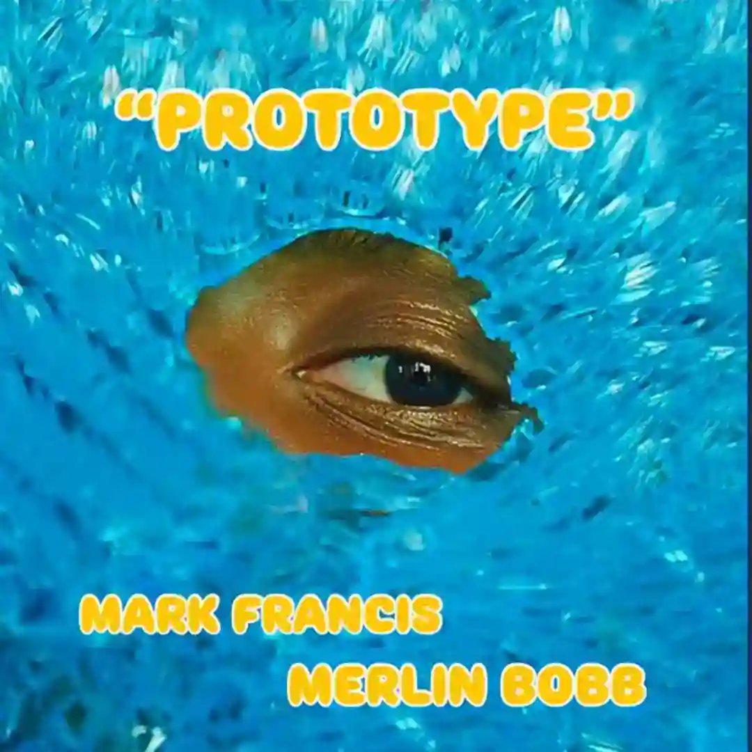 PROTOTYPE (REMIX INST) cover