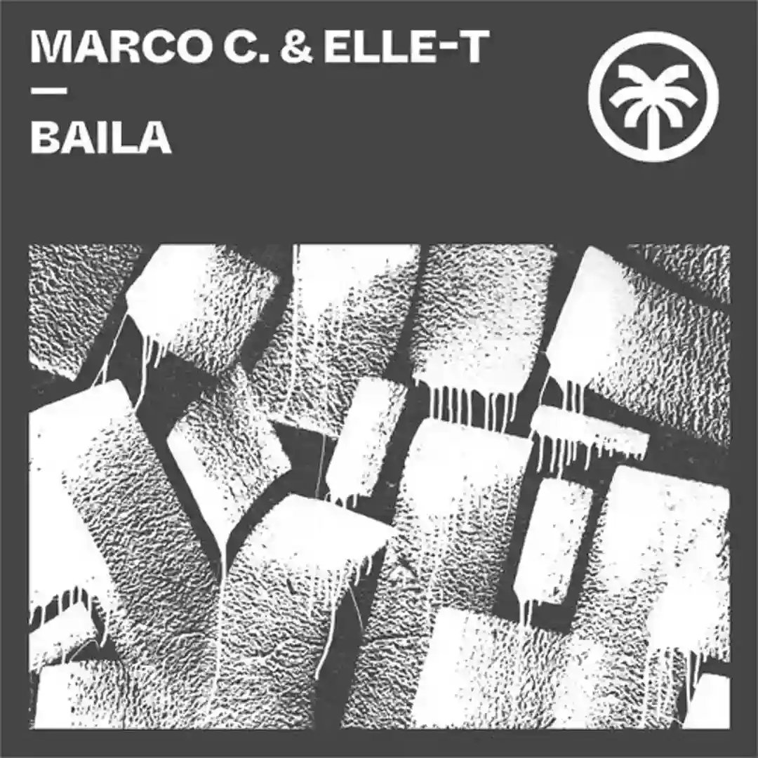 Baila (Original Mix) cover