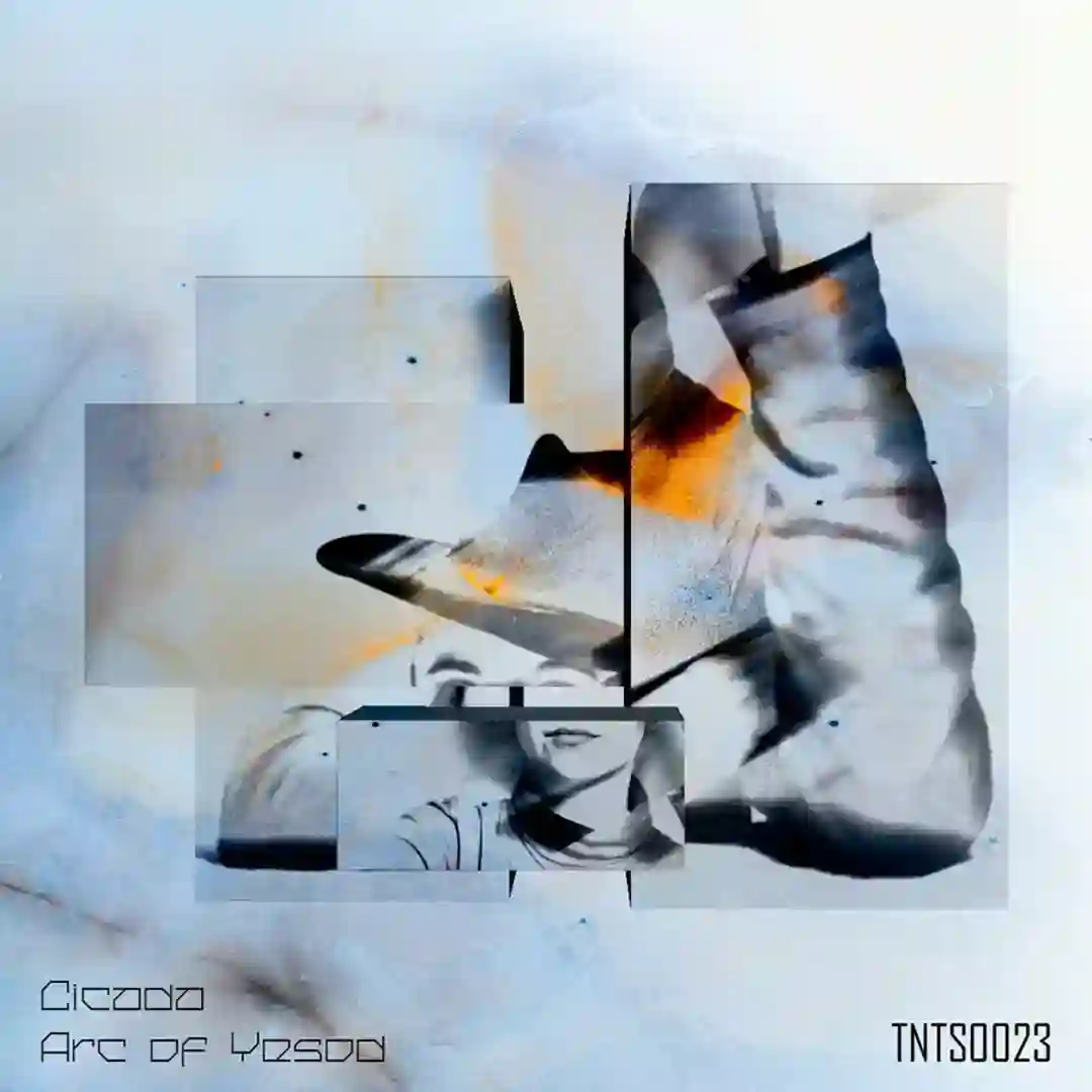 Cícada 2 cover