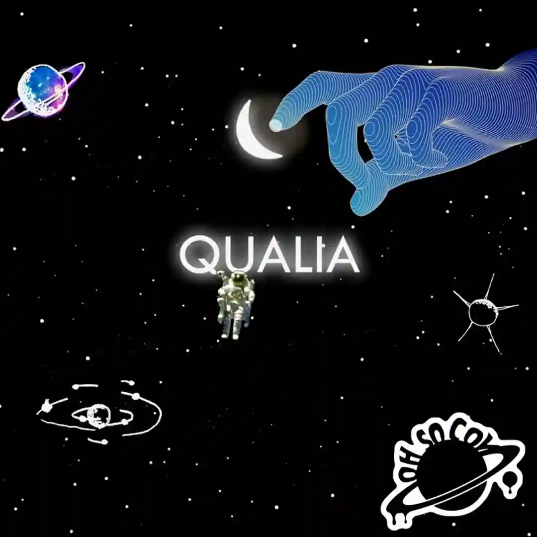 Qualia cover
