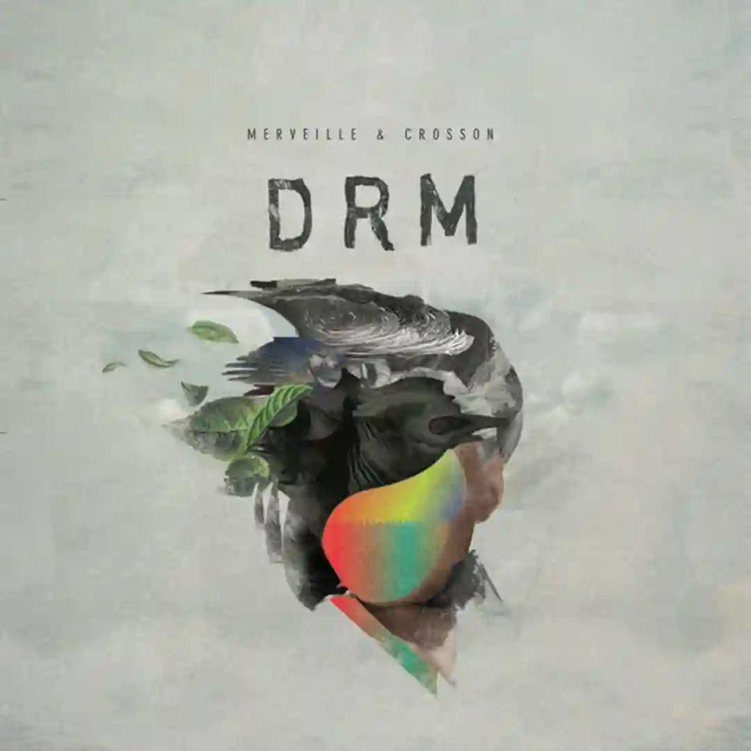 Orca cover