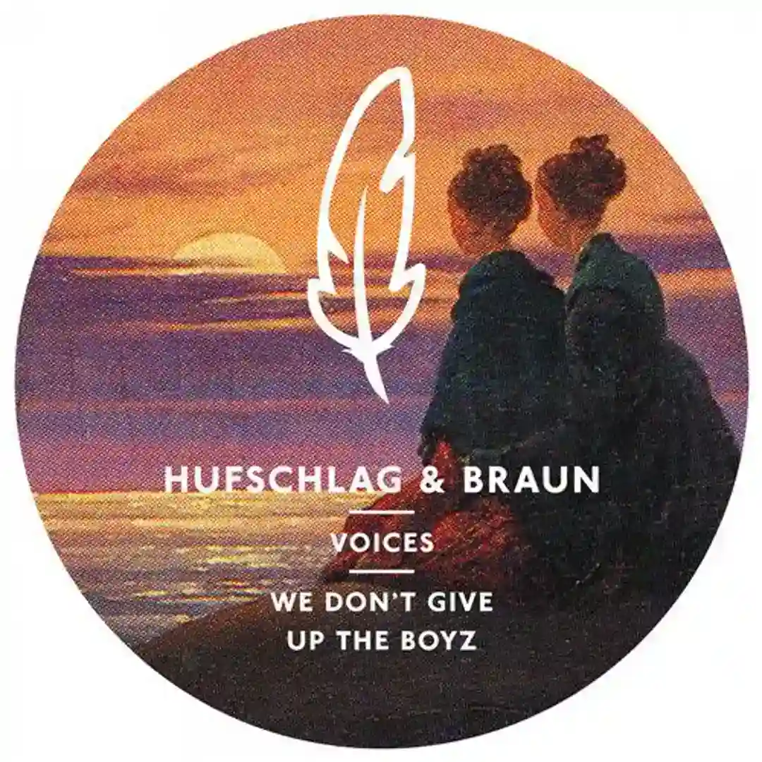 We Don't Give Up The Boyz (Marvin Hey & Ferdinand Dreyssig Remix) cover