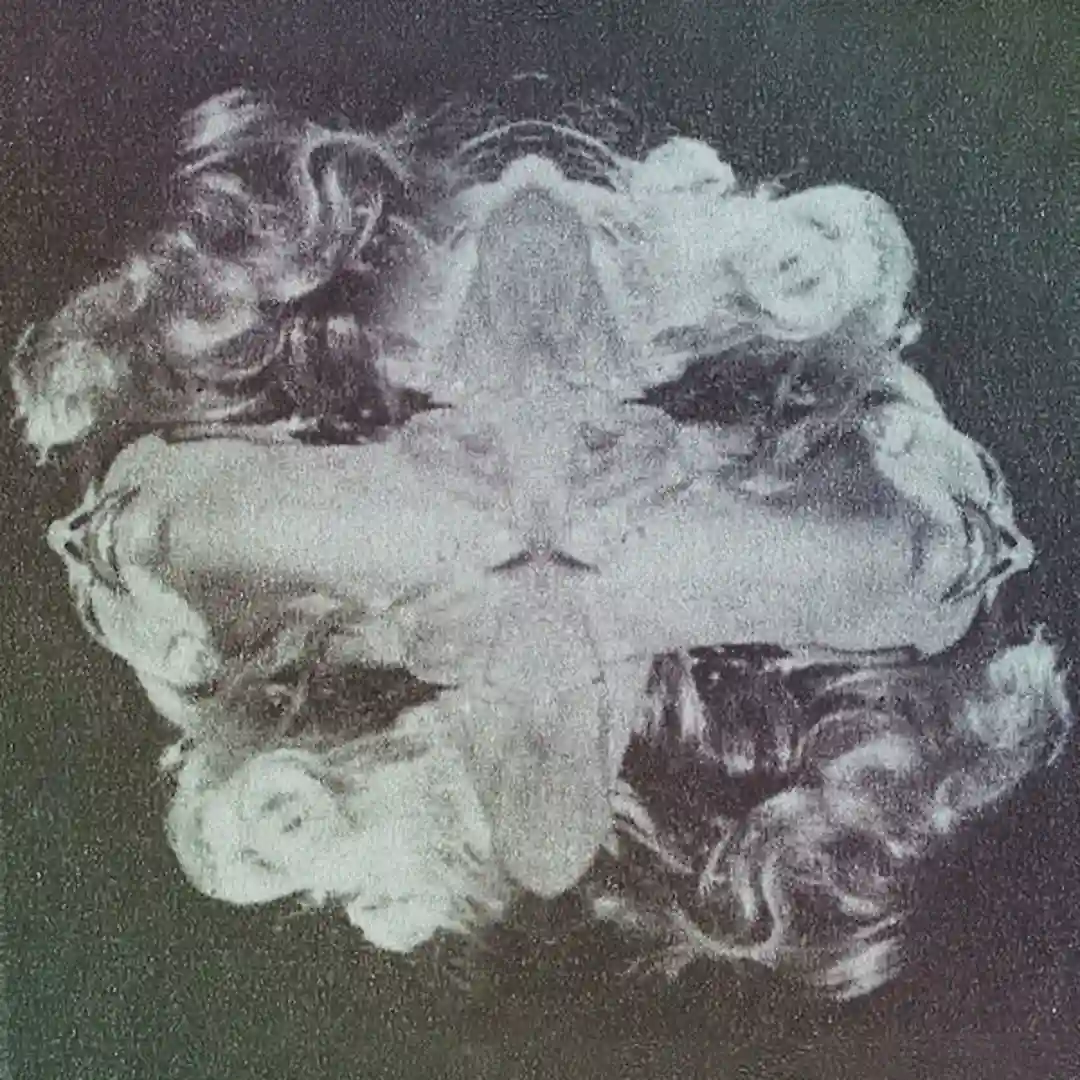 Special 4U cover
