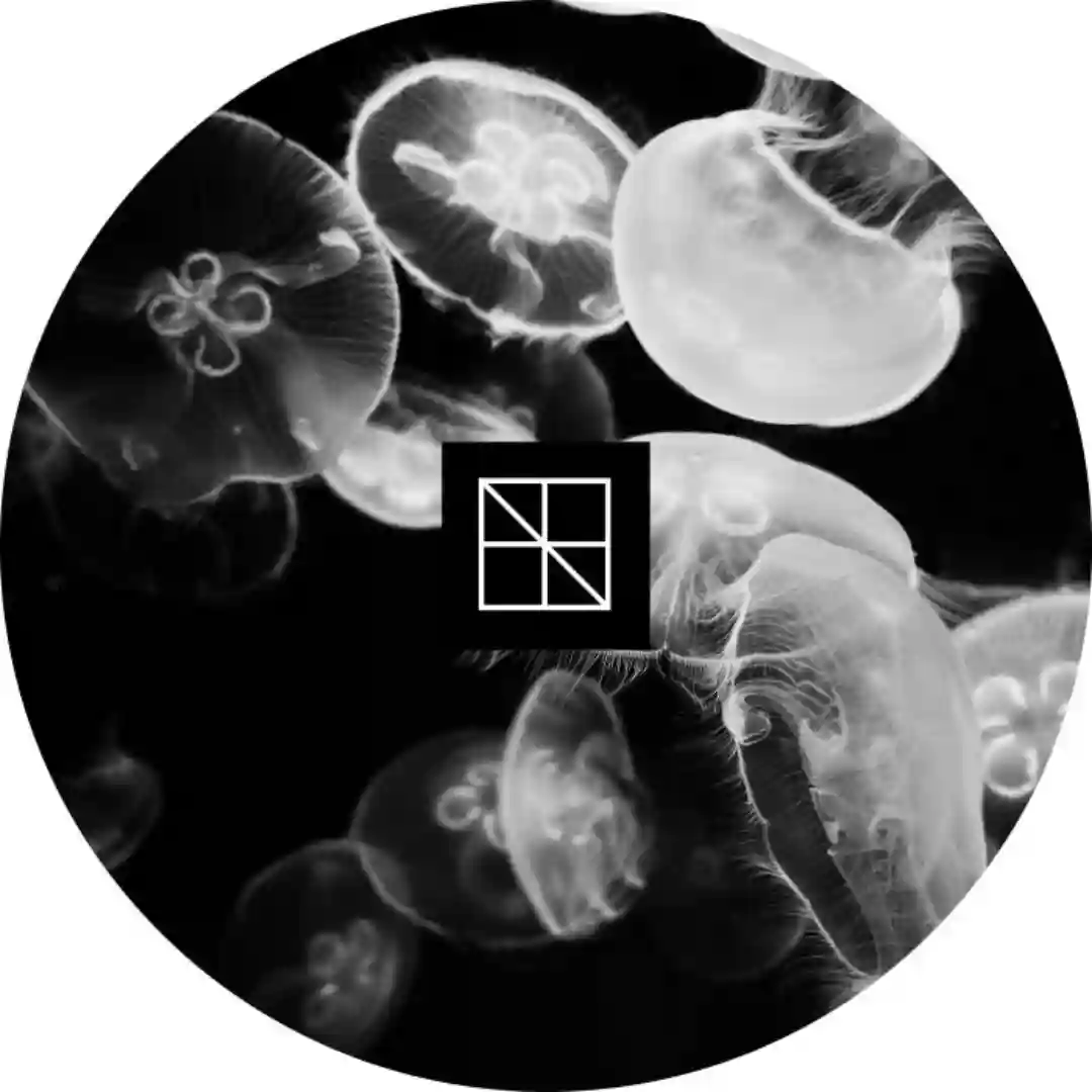 Strategies II (Original Mix) cover